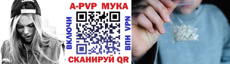 A PVP СК КРИС Пугачёв