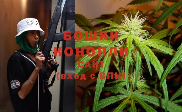 молекула духа Алзамай
