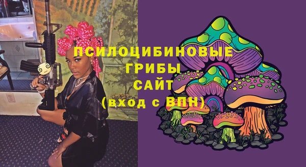 МДПВ Алексин