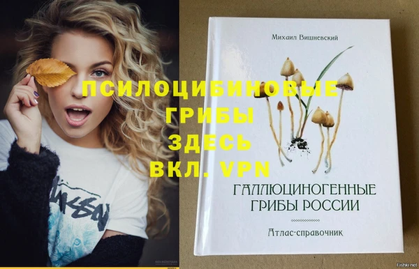 молекула духа Алзамай
