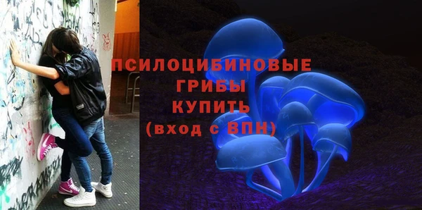 МДПВ Алексин