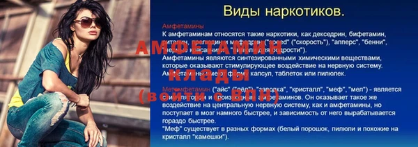 молекула духа Алзамай