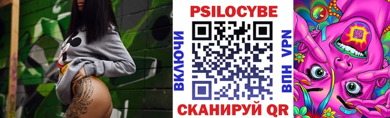 продажа наркотиков  гидра как войти  Галлюциногенные грибы мухоморы  Пугачёв 